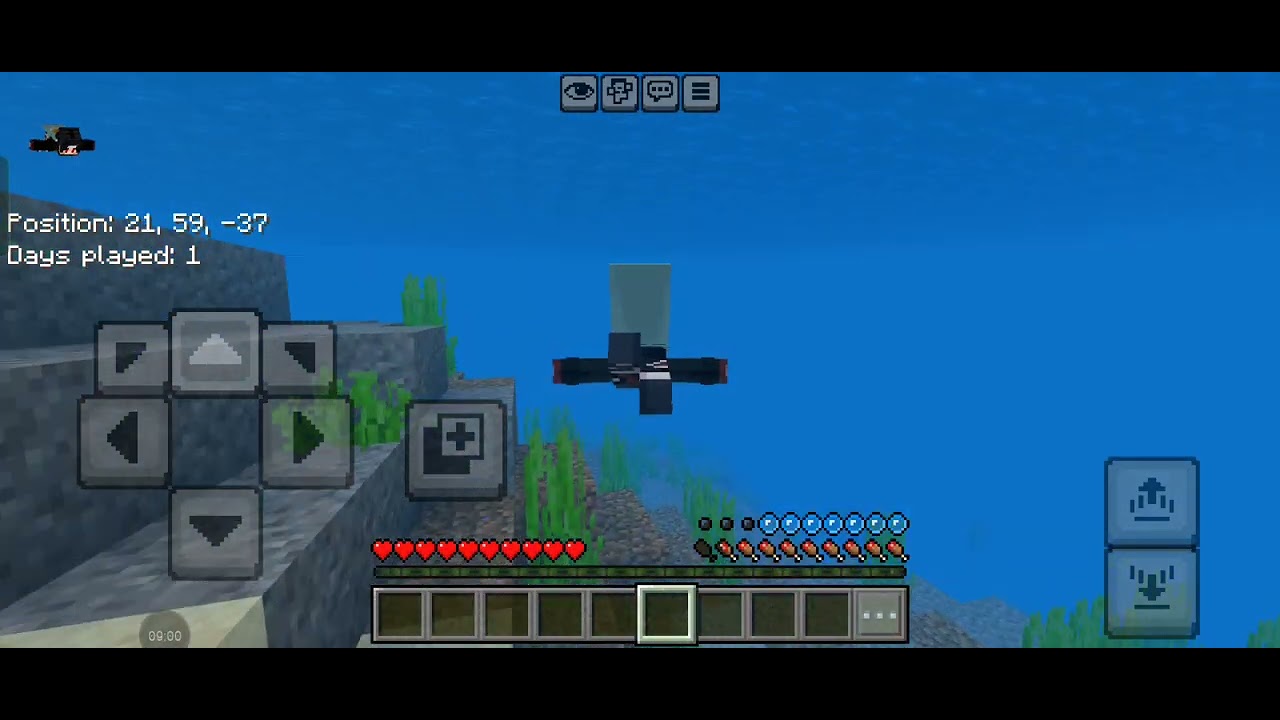 Survival World Ep 1 #Minecraft