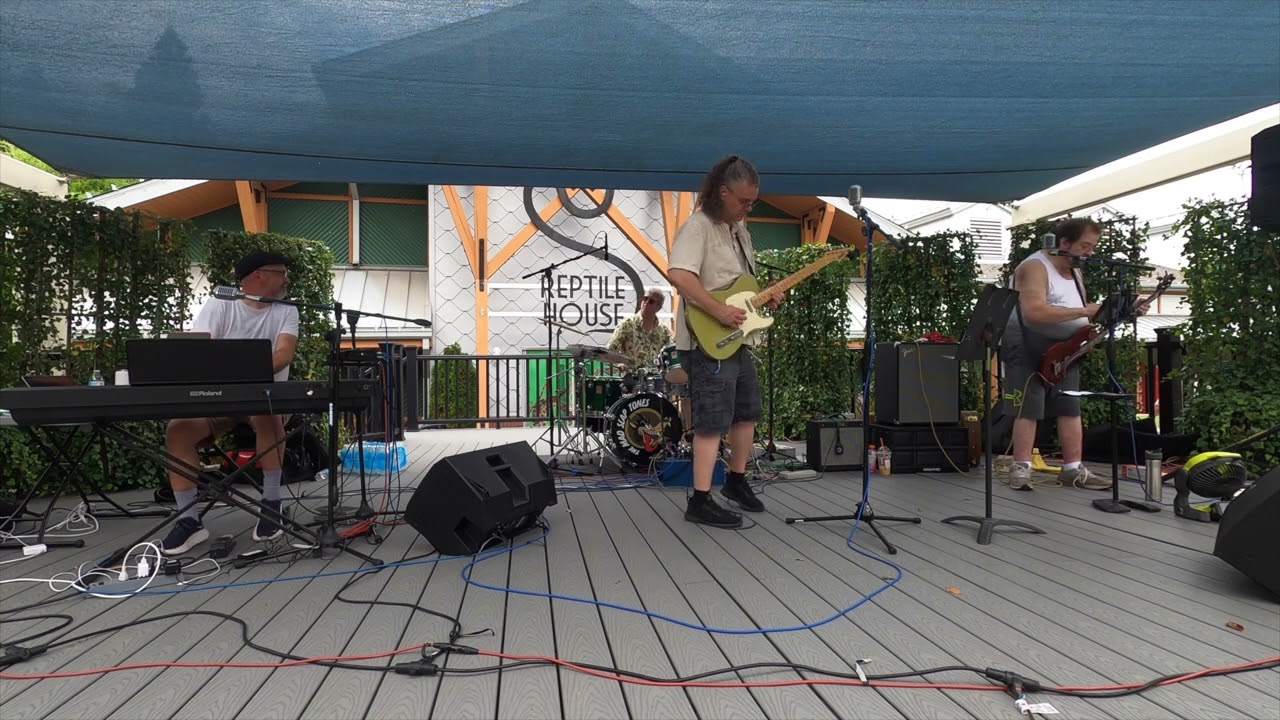 You Never Can Tell (cover) - The Mad Slap Tones at the Turtle Back Zoo 7-7-24