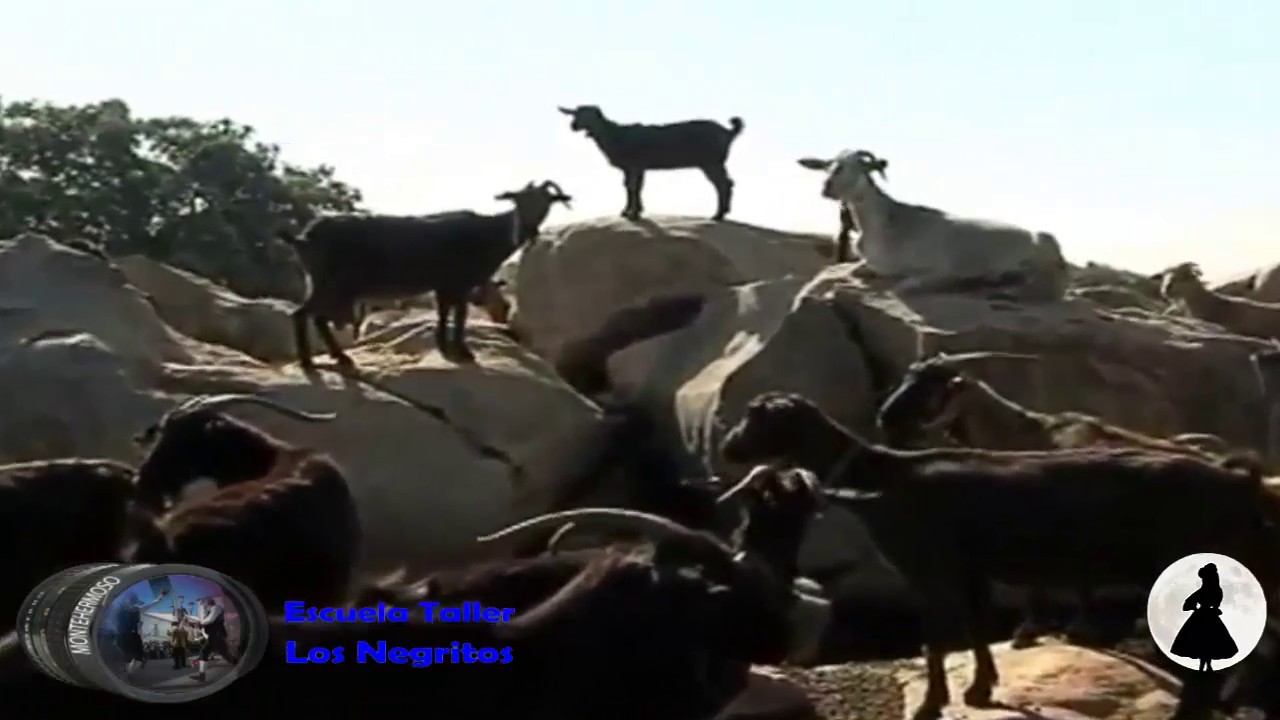 Testimonios de Montehermoso - 2008.