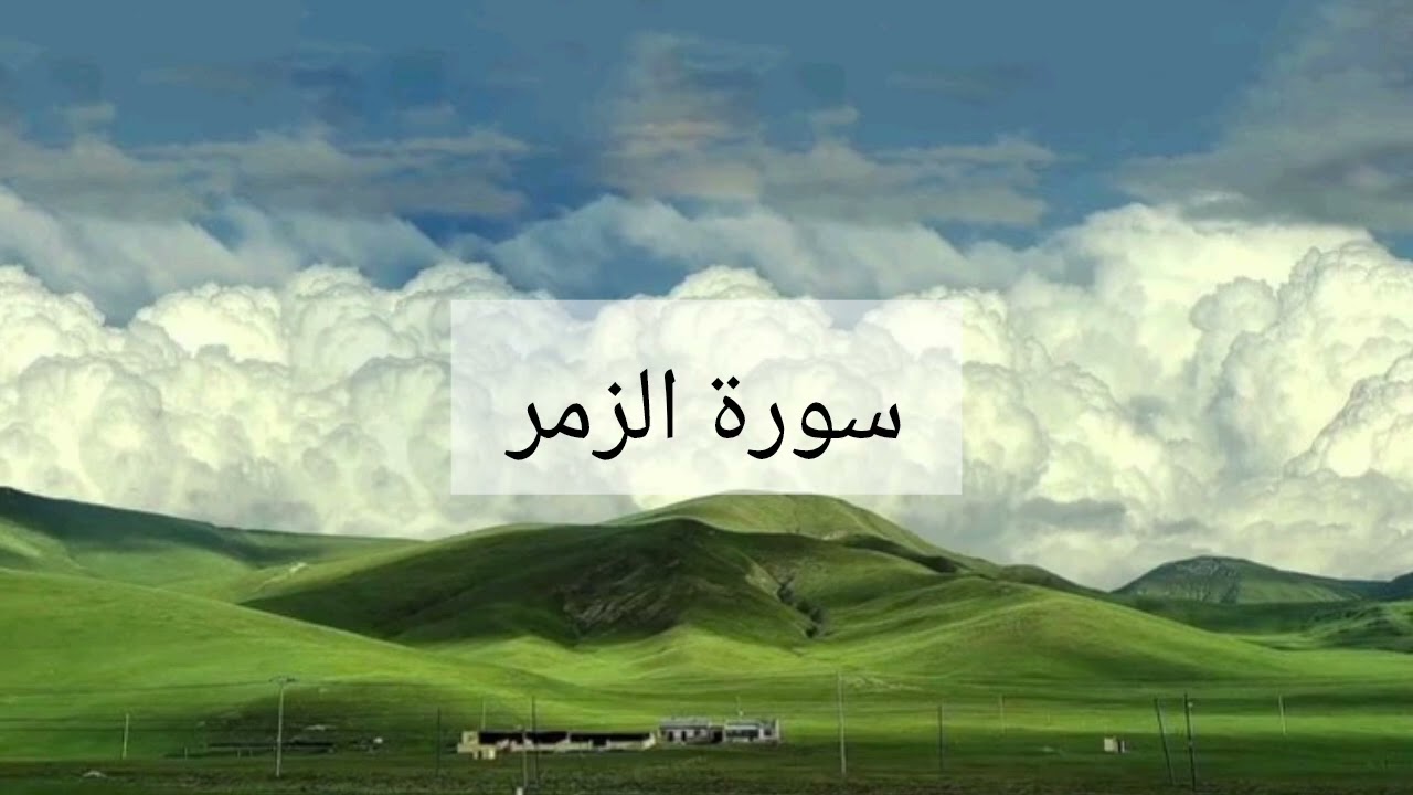 سورة الزمر الشيخ احمد العجمي 