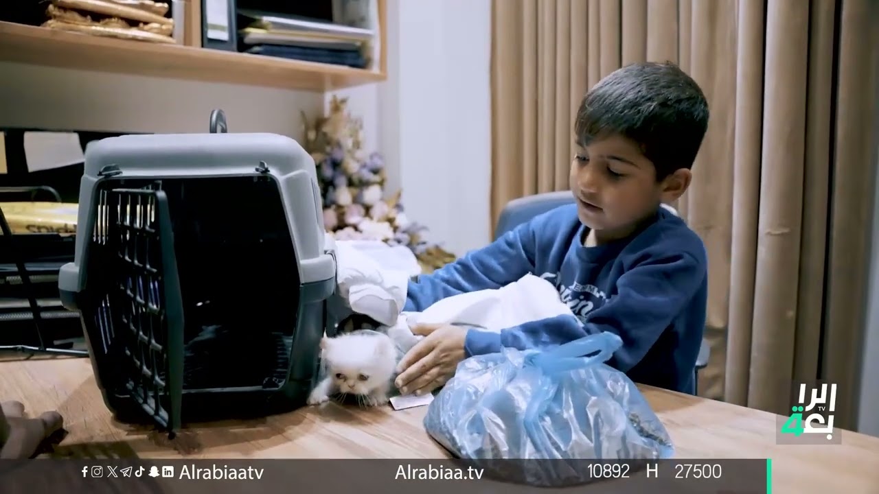 الطفل يونس يصل إلى بر الأمان وينضم لأسرة هشام الذهبي بعد تسلميه من العقيد عزيز ناصر