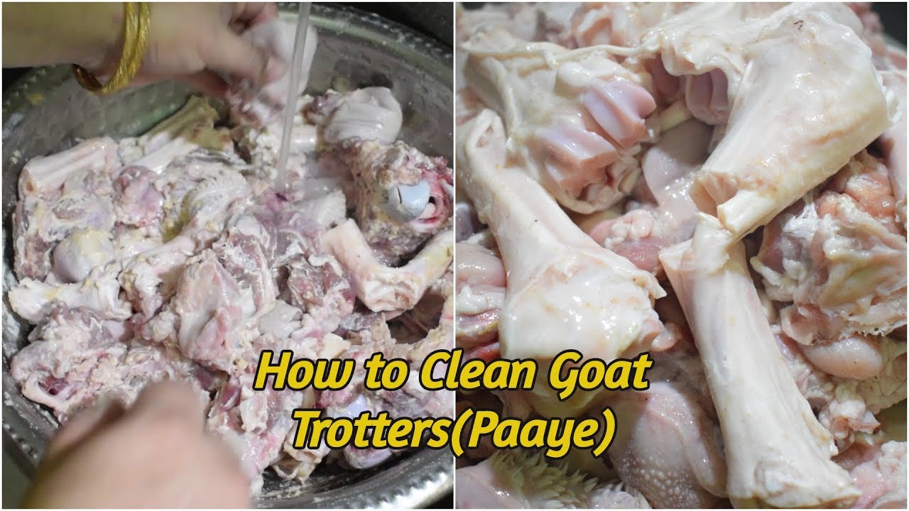 Paye Wash Karne Ka Sabse Aasan Tarika ||How to Clean Trotters & Remove Hair And Smell with Easy Way