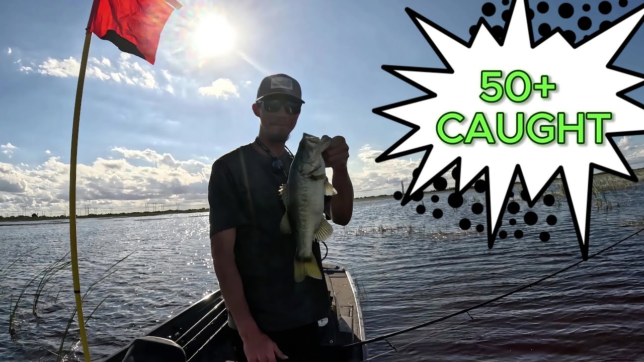 The Dink Whisperer?...