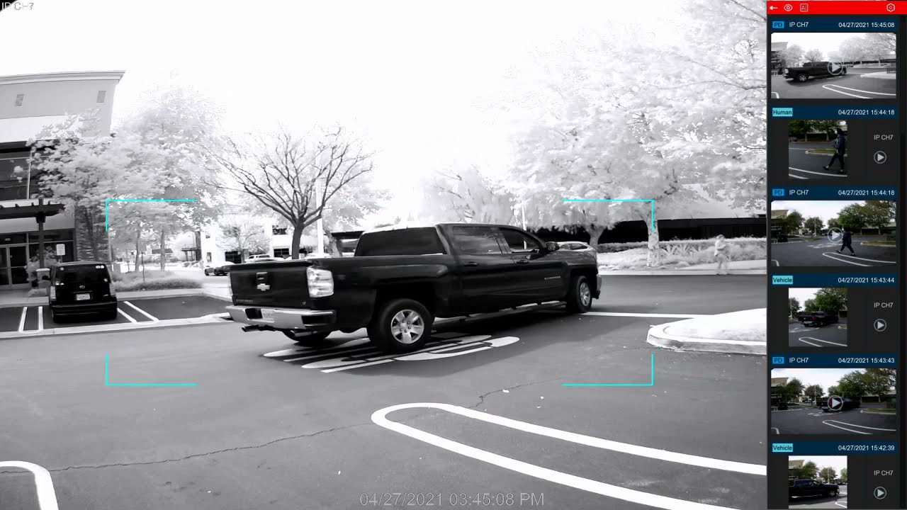 Bolide iPac AI Vehicle Detection and License Plate Positioning