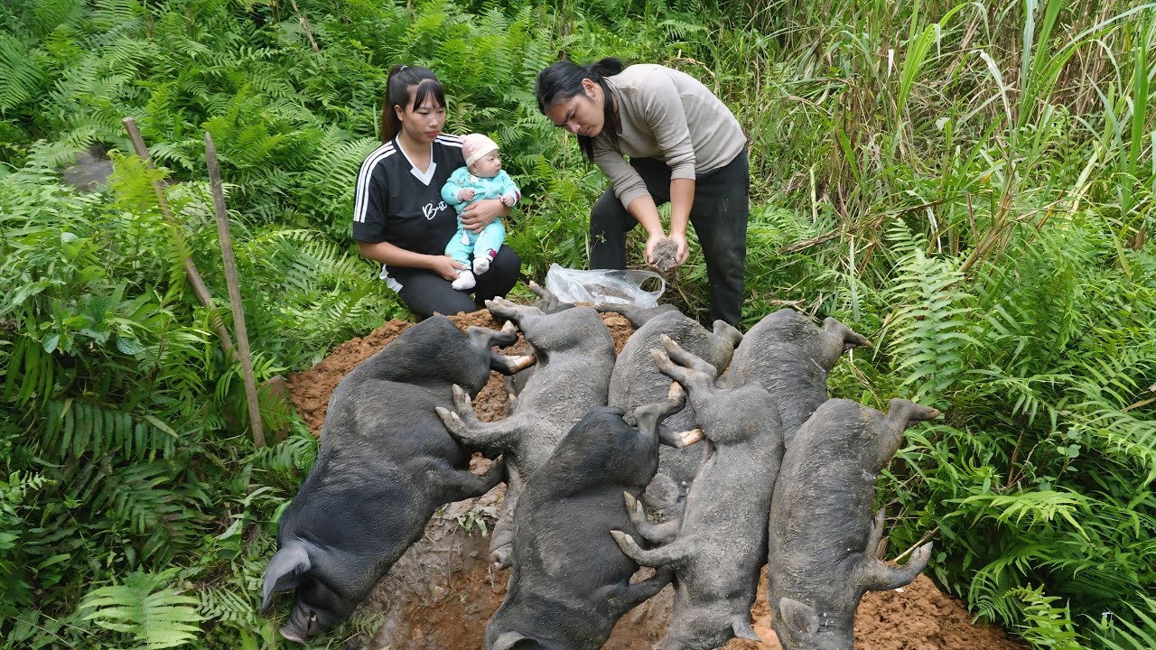 Disaster at the farm: the pandemic wiped out everything we built, farm life, SURVIVAL ALONE