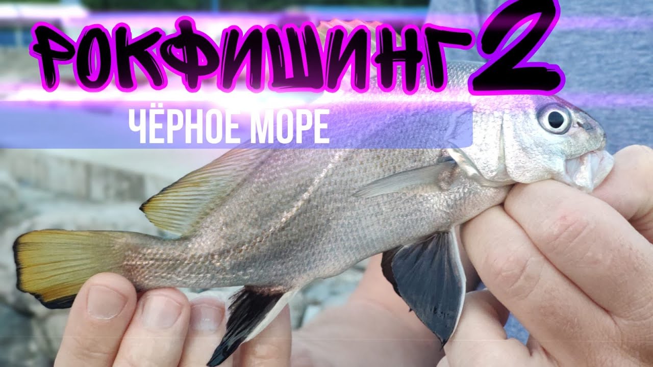 РОКФИШИНГ! Как поймать горбыля? Мы ее нашли, кефаль на Спиннинг!!
