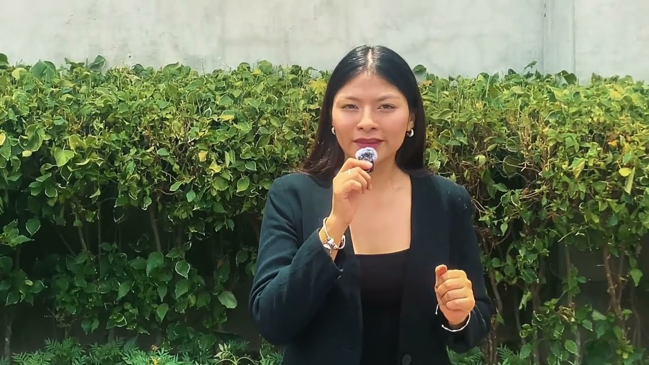 Reportaje “Crisis silenciosa, la salud mental no atendida en jóvenes de Lima Metropolitana
