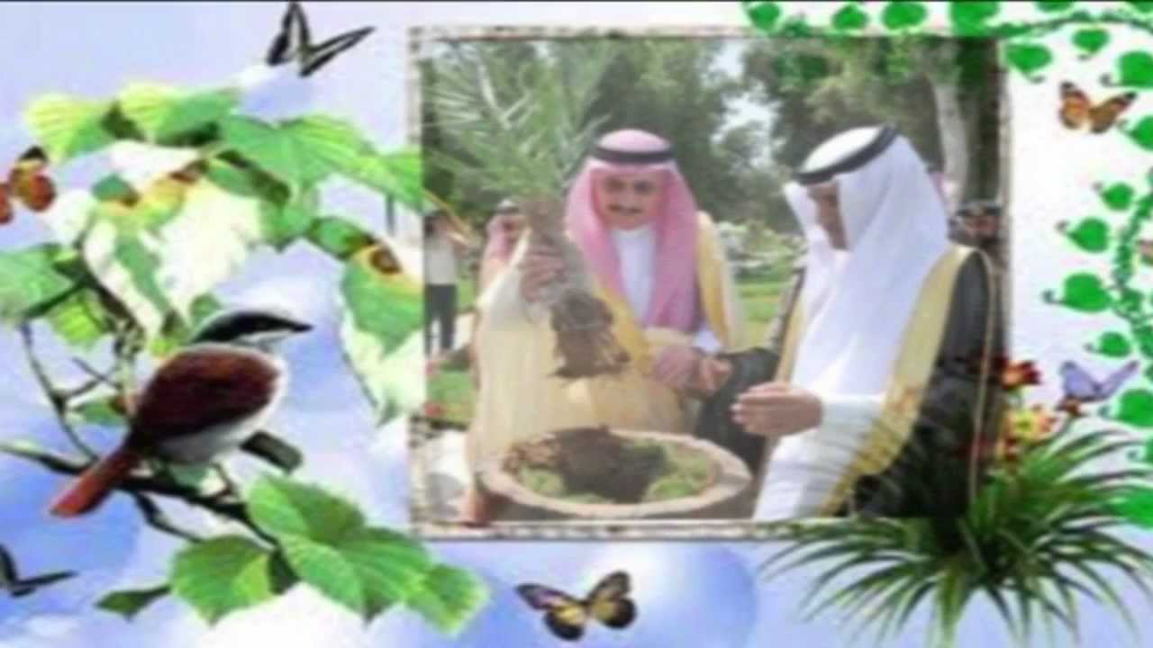 جازان البهية / انتاج خااااص