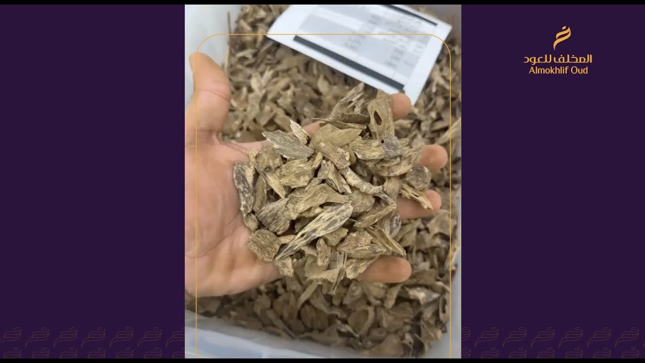 افضل عود مروكي | المخلف للعود
