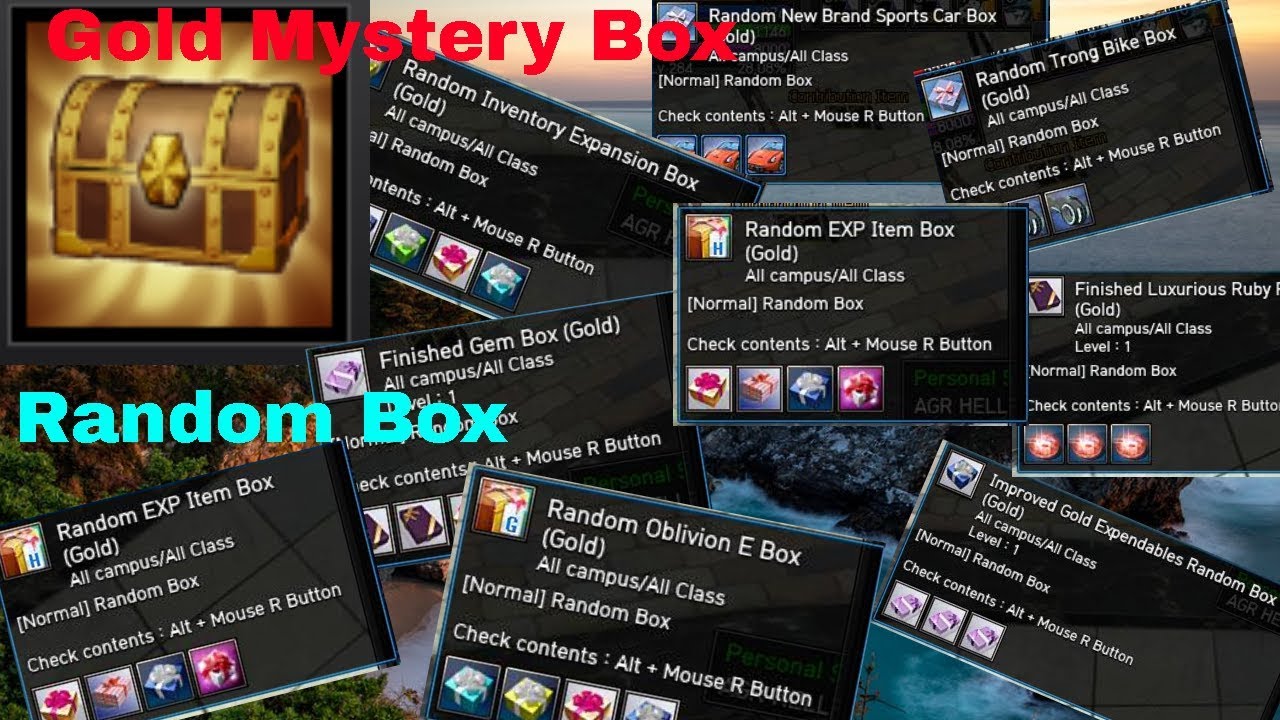 Ran Online GS Random Box(Gold Mystery Box) Fela-GG #80