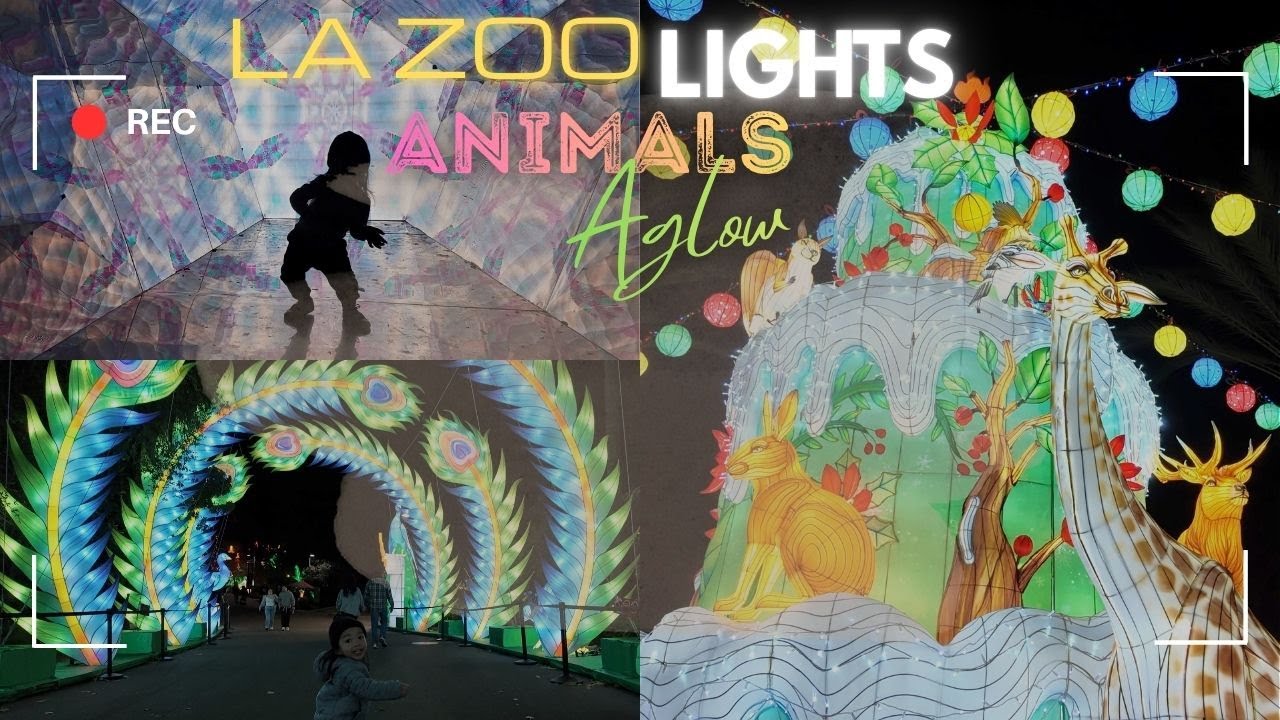 Christmas Vlog : LA Zoo Lights Animal Aglow 2025 | Los Angeles, CA