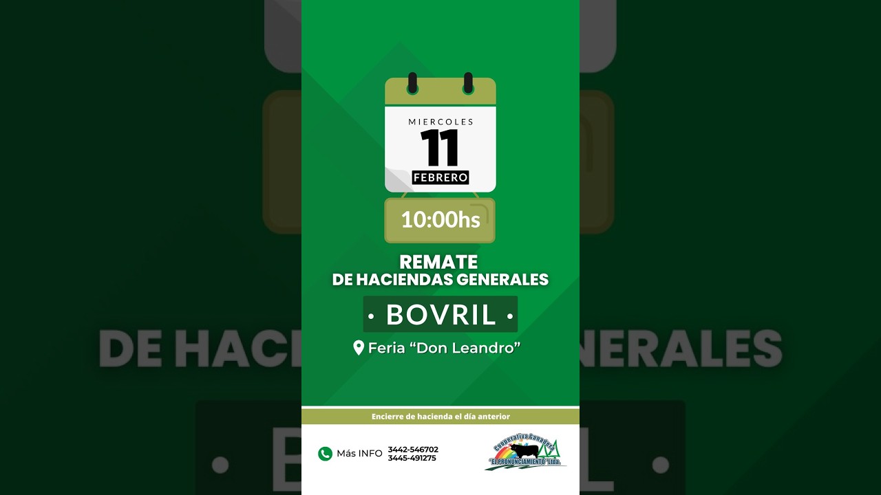 Remate de hacienda Bovril 11-02-2026 | Coop. Ganadera El Pronunciamiento