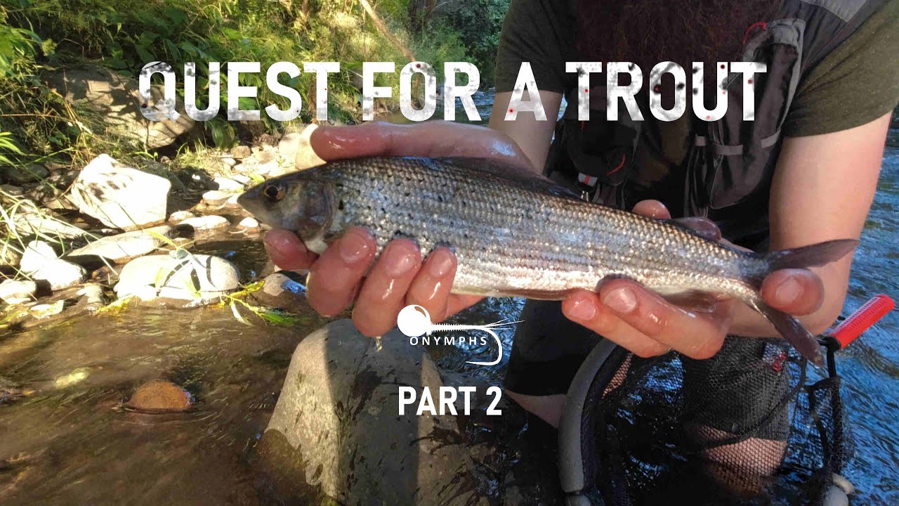 Quest for a Trout 2/3 - Fly fishing Transylvania, Romania
