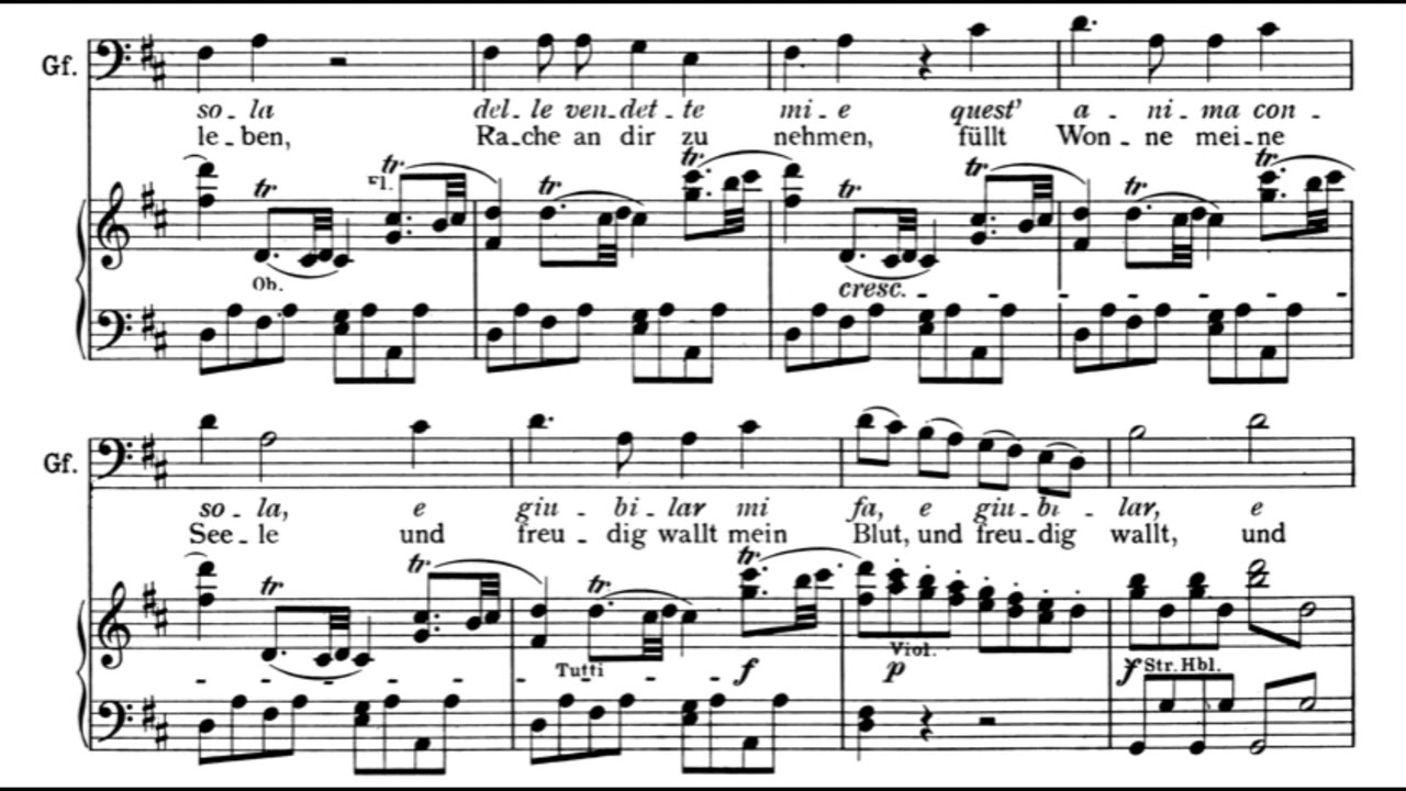 Vedro mentr'io sospiro (Le Nozze di Figaro - W.A. Mozart) Score Animation