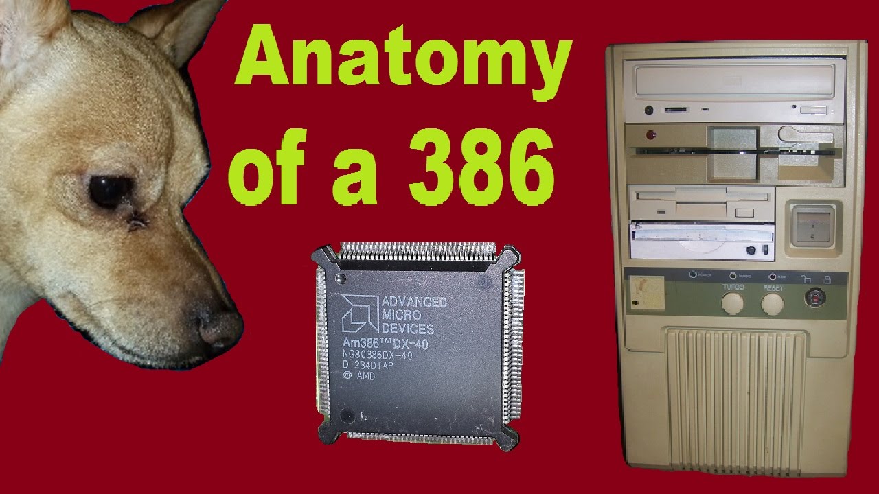 anatomy of 386 PC