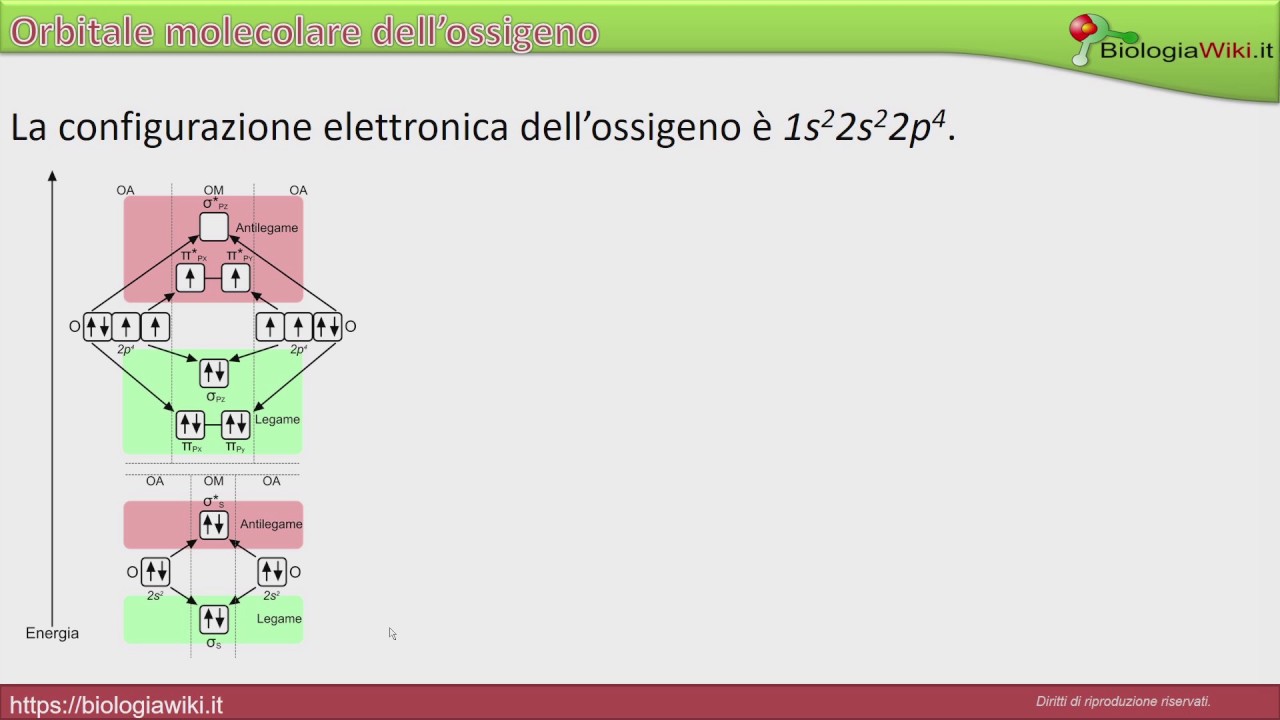 Teoria dell'orbitale molecolare