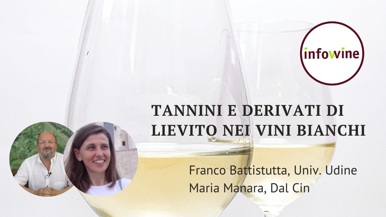 Tannini e derivati in post-fermentazione ed effetto sulla freschezza e longevità dei vini
