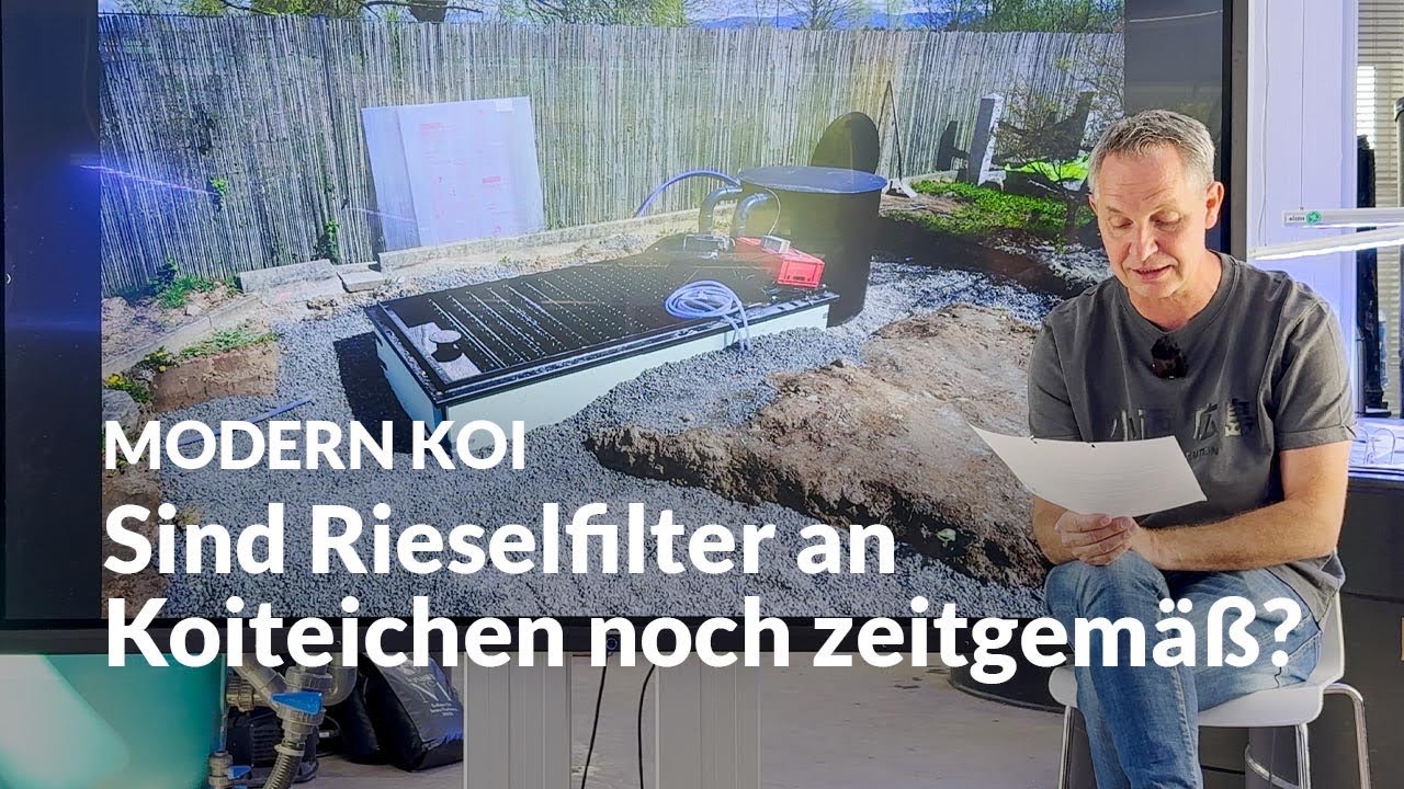 Was bauen Reiselfilter wirklich gut ab? | Modern Koi Blog #7372