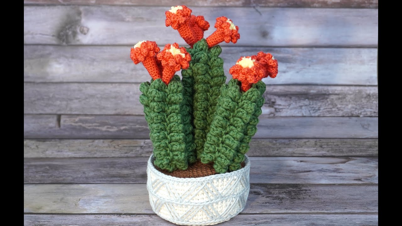 CACTUS CON FLORES TEJIDO A CROCHET
