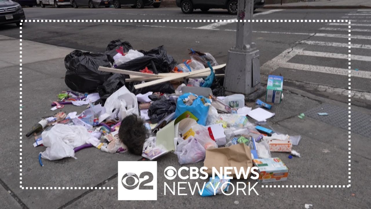 Big rats continue to plague NYC's rat mitigation zones, residents say