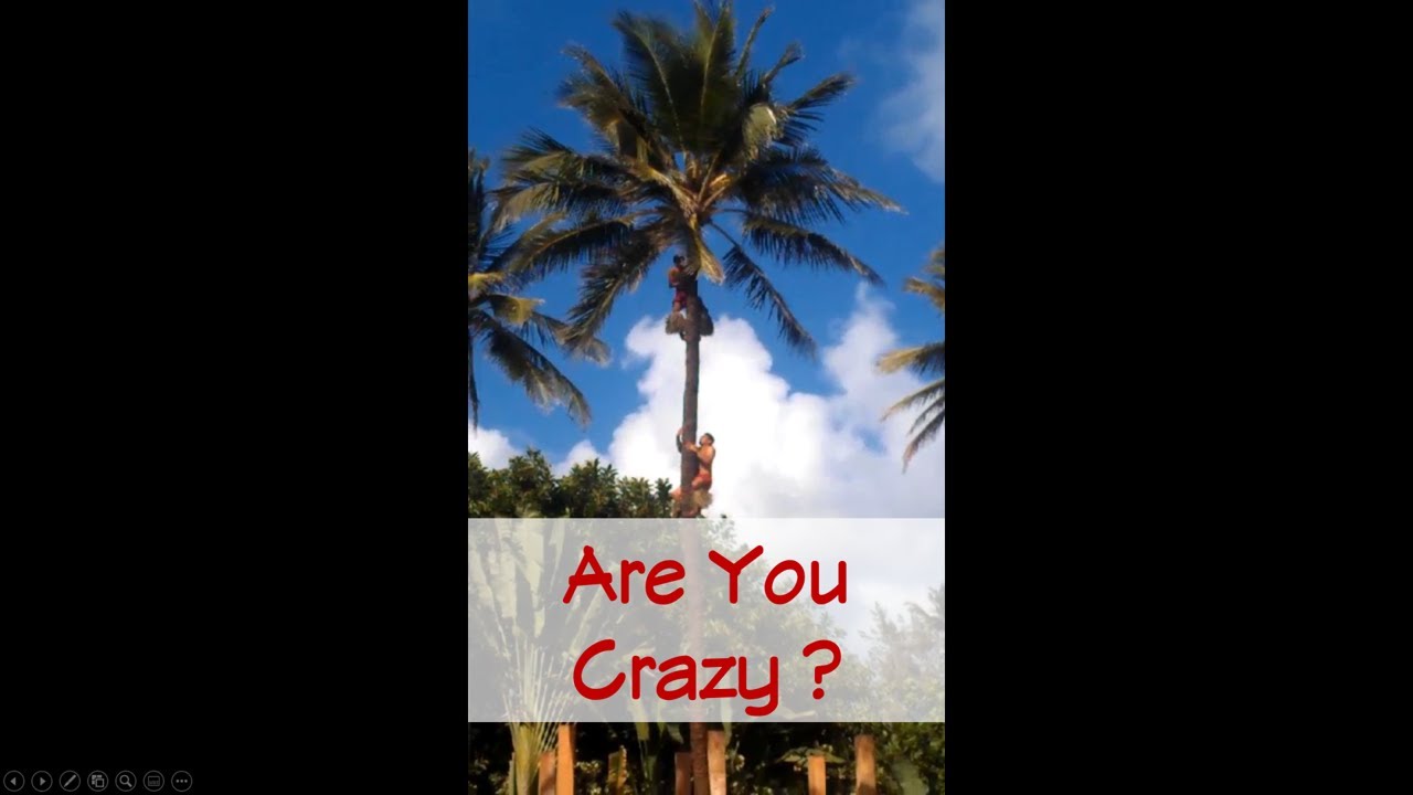 Climbing the Wrong Coconut Tree  (HD) Are You Crazy #shorts