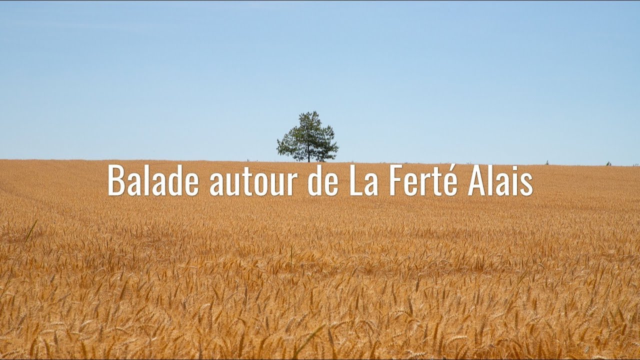 Balade a la Ferte Alais