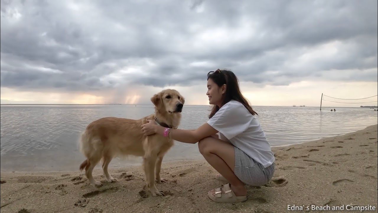 Car Camping with Dogs at Edna’s Beach Resort Calatagan 🏖️🐶
