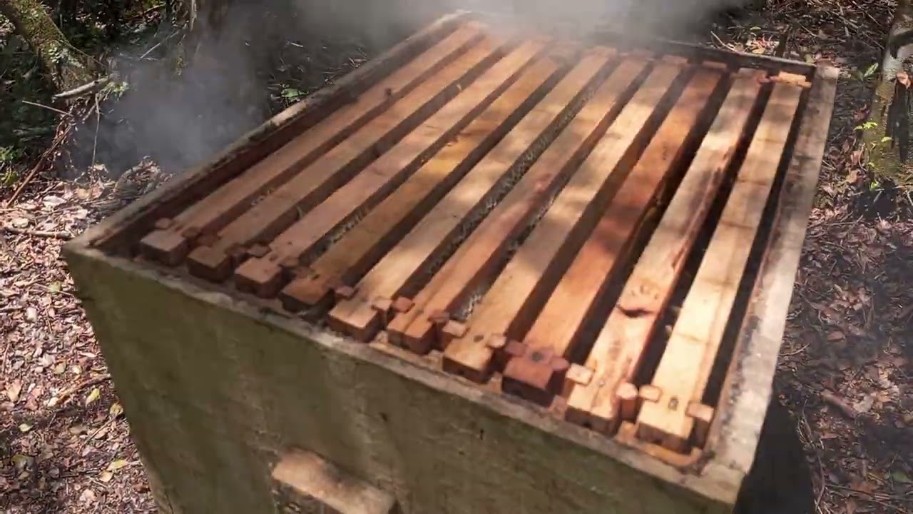 passando pra colocar a melgueira 🍯🐝