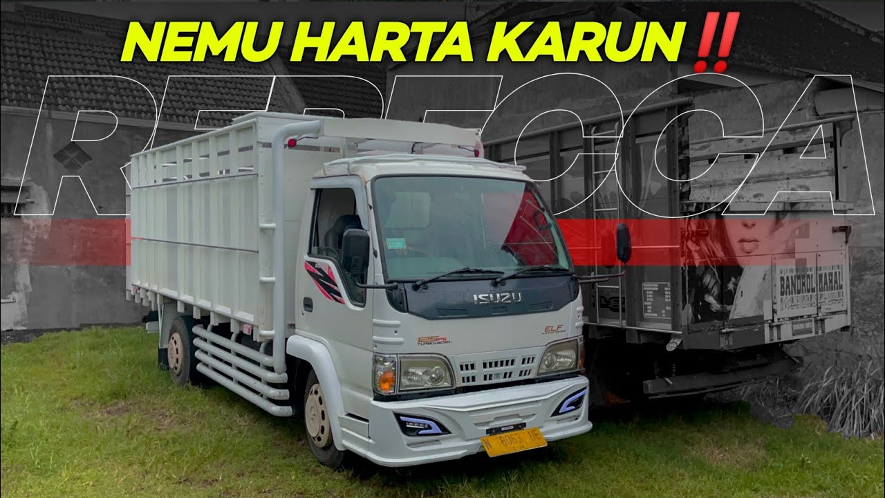 Barang langka‼️ Jemputt Elf macan 2014 bareng mas Candra 😍 (Rebecca concept)
