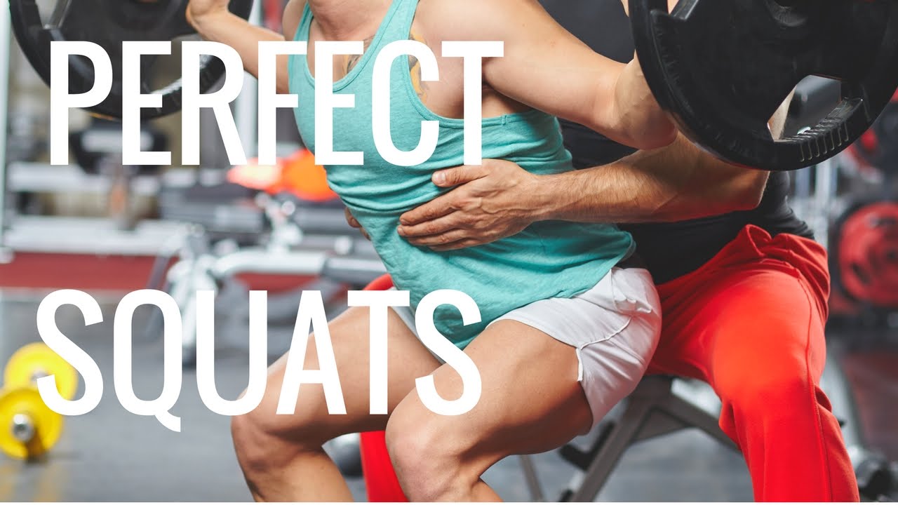 How to Squat with Proper Form How to Get Big Legs Safely