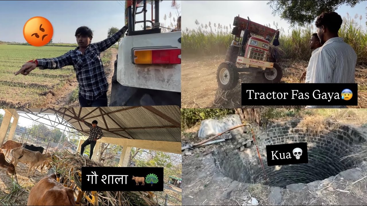 Gaushala Main Chara Lekar Aa Gaye 🎋🌾 | Aniket Kardile Vlog