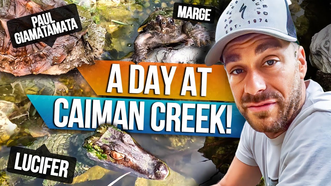Marge, the Mata Mata & Caiman Creek Care Day!