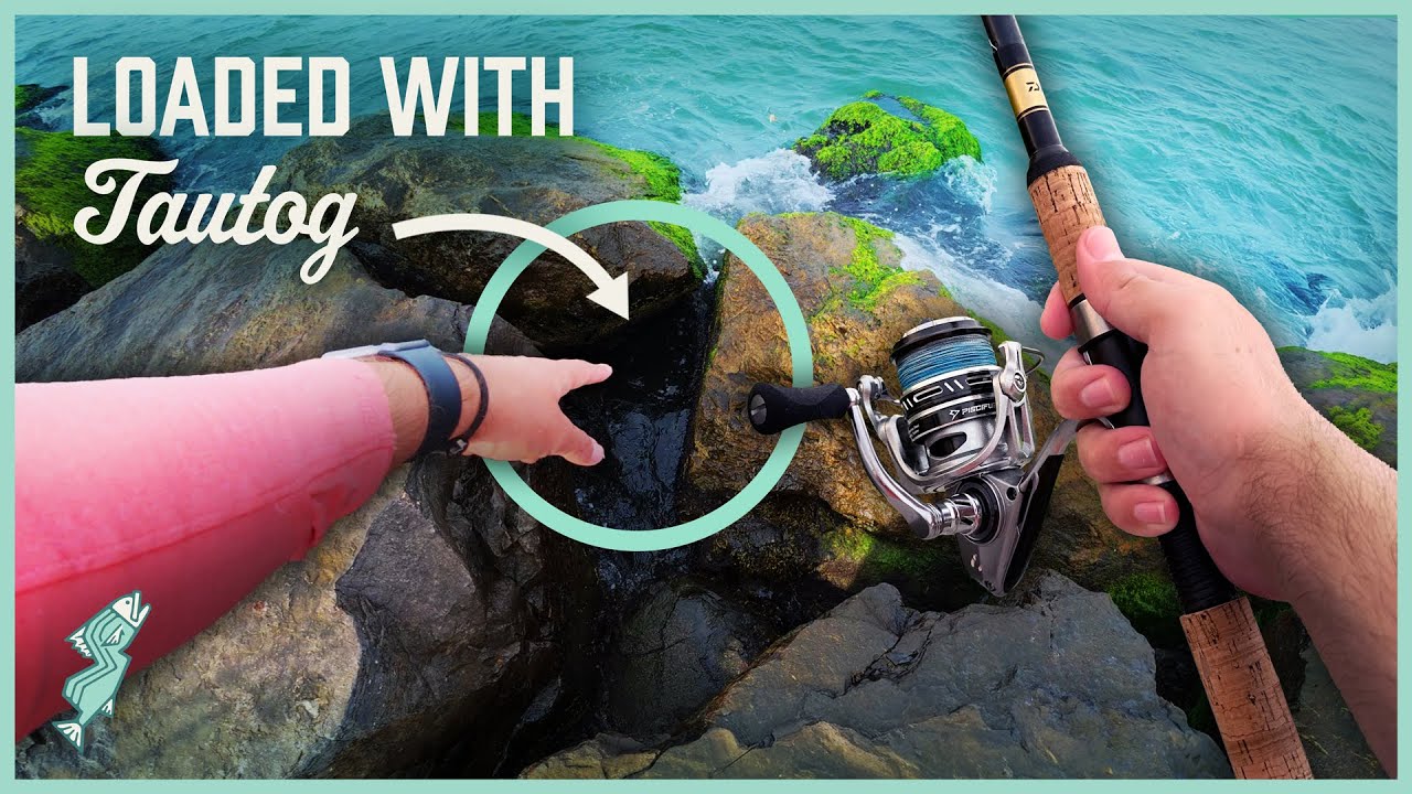 Я нашел скрытую точку доступа Tautog в районе Jetty Rocks!