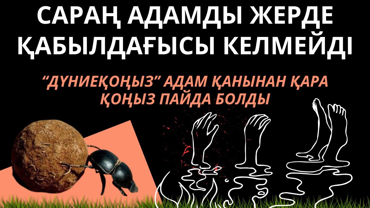 САРАҢНЫҢ ПІРІ-ҚАРЫНБАЙ|ЕРУЛІК БЕРУ|КӨРІСУ ӘДЕБІ #салтдәстүр #ырым