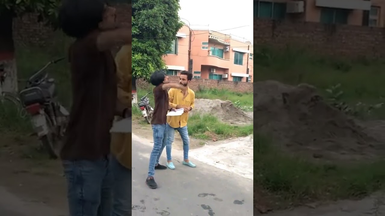 dani tiktok