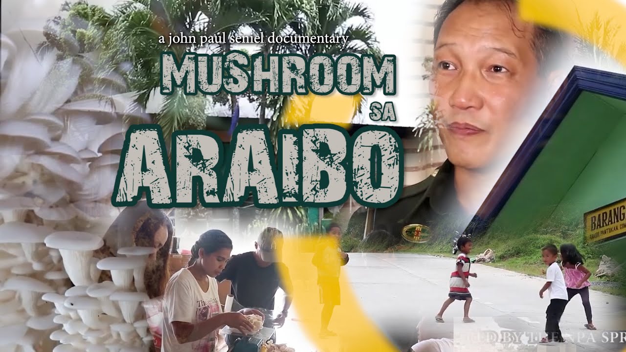 MUSHROOM SA ARAIBO (npa supporters turned mushroom farmers) | full docu