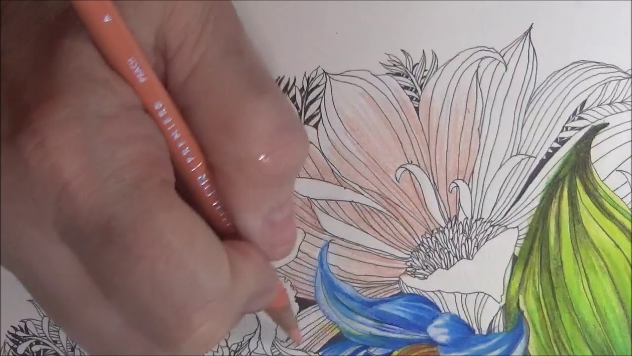 FLORIABUNDA - PART 4 CALENDAR WITH LISA BRANDO COLORING FLOWERS
