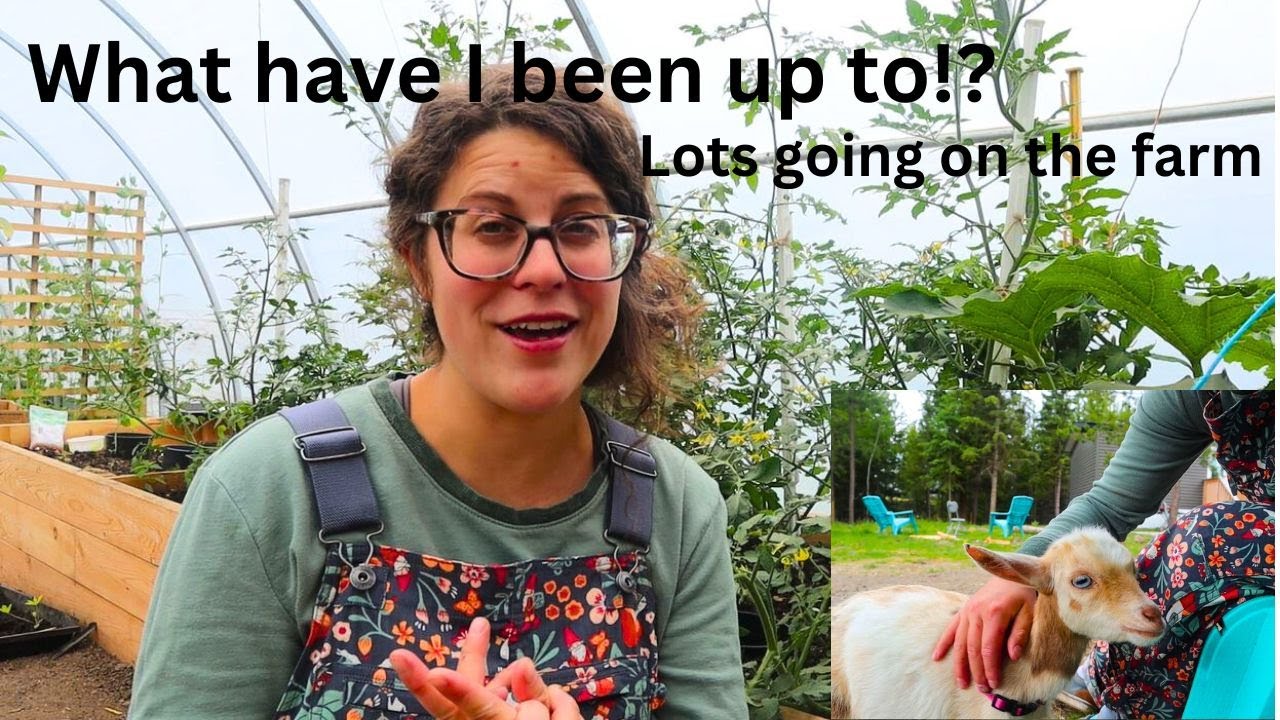 Im still here! Life update on the farm!
