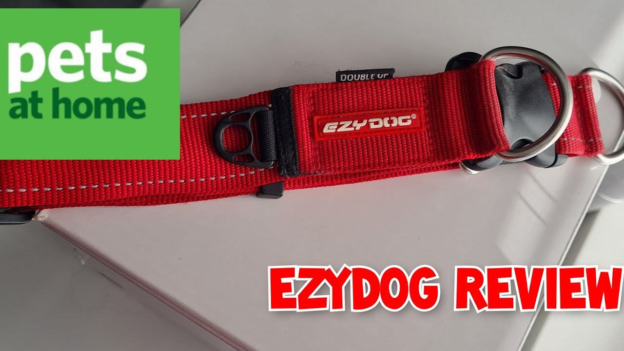 Ezydog Collar Review - Pets at Home | German Shepherd
