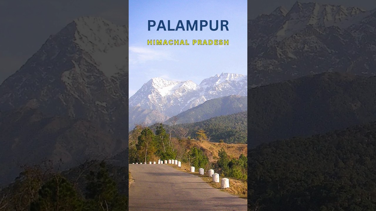 Palampur: Himachal&rsquo;s Hidden Paradise |Top places to visit in Palampur