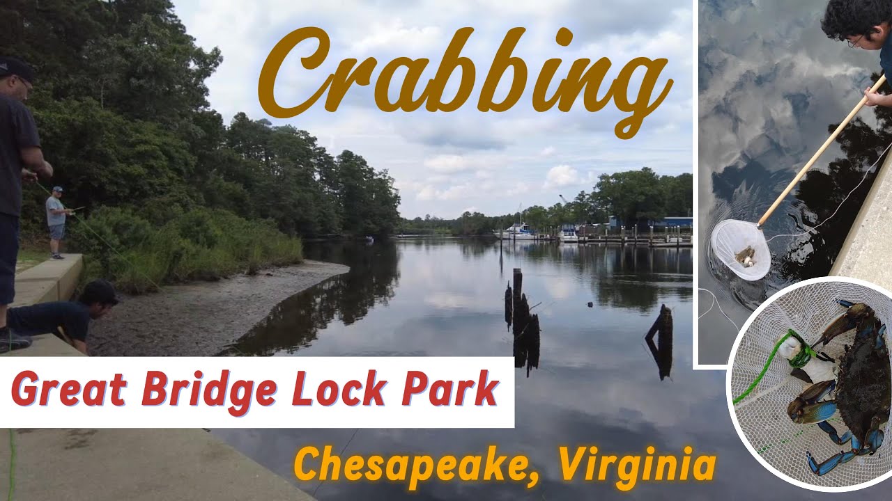 Blue Crab Line Crabbing at Great Bridge Lock Park in Chesapeake, Virginia