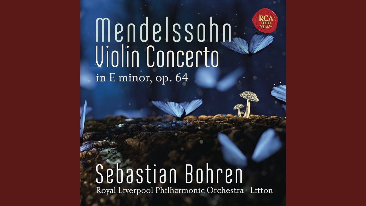 Violin Concerto in E Minor, Op. 64: III. Allegro molto vivace