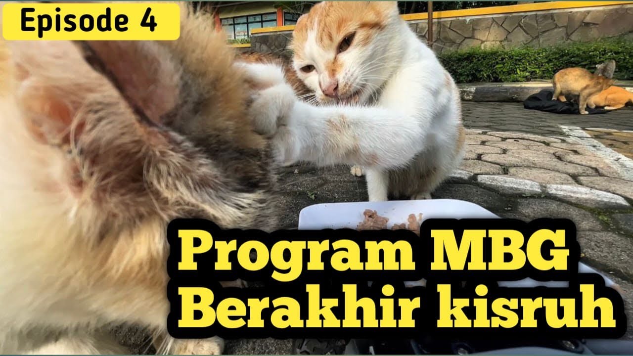 KISRUH!!! PROGAM MBG TAK TERKENDALI!!!
