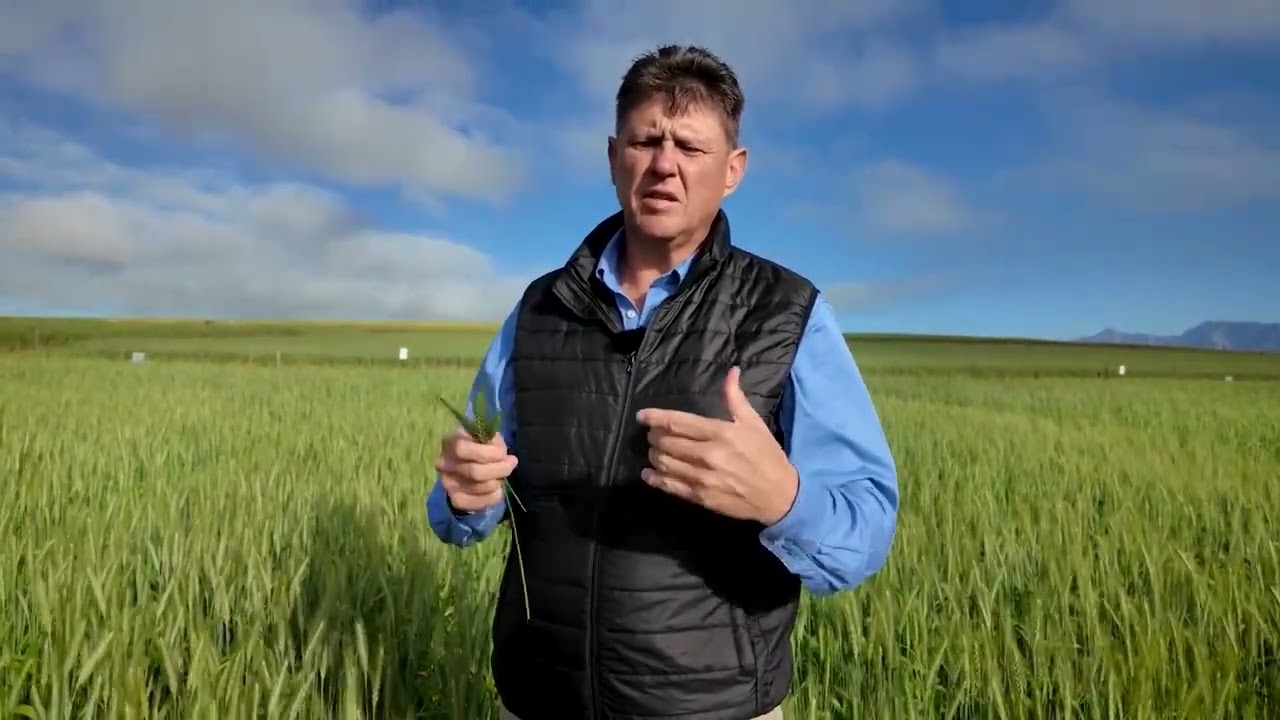 Biochar helps farmers bury carbon, build climate resilience | REUTERS