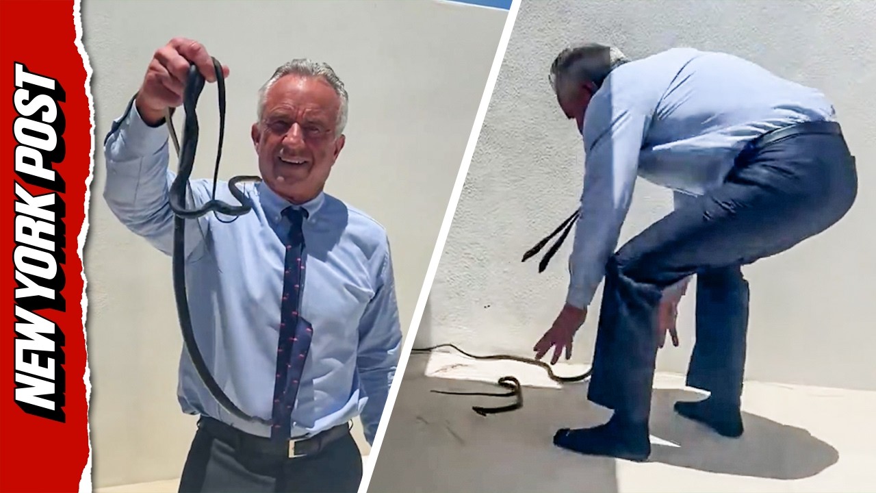 Zobacz, jak RFK Jr. gołymi rękami łapie dwa węże na patio Dr. Oza