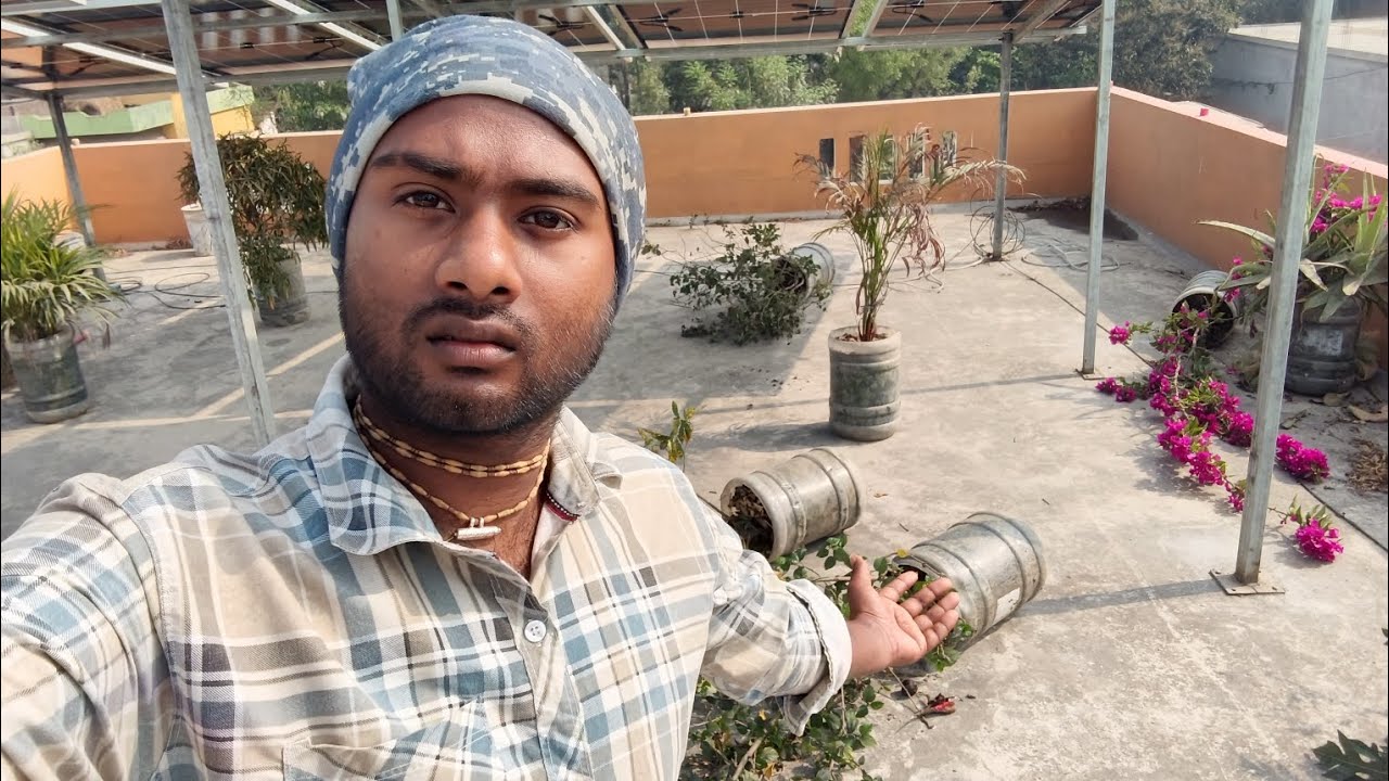 ঝড়ে ফুলগাছ গুলো পড়ে গেছে 