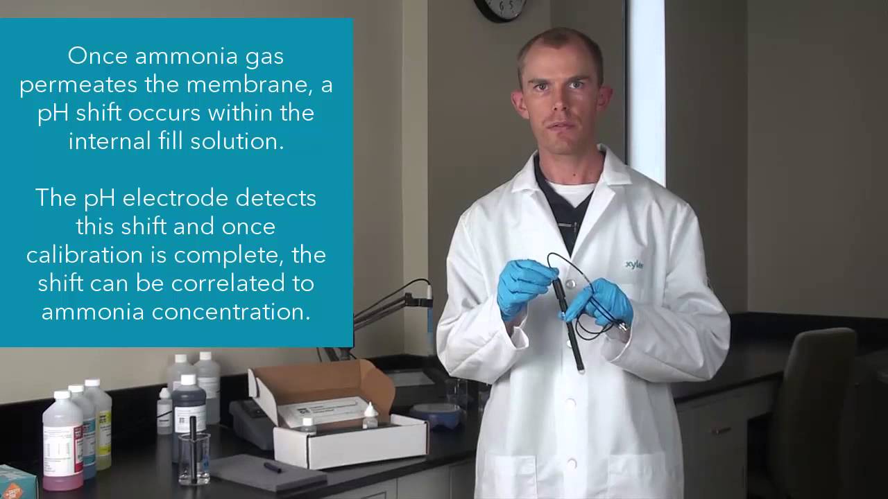 YSI Ammonia Ion Selective Electrode (ISE) | Introduction