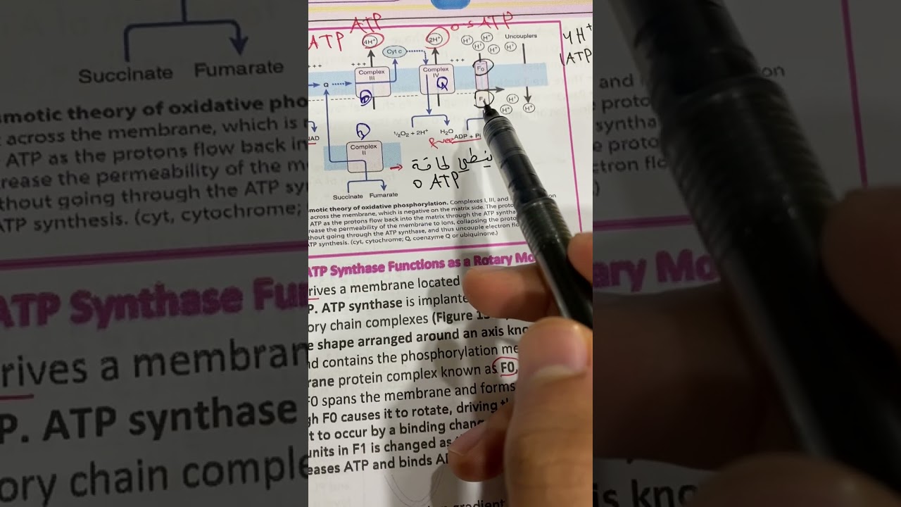 جابتر ٢ بايوكمستري بارت ٢