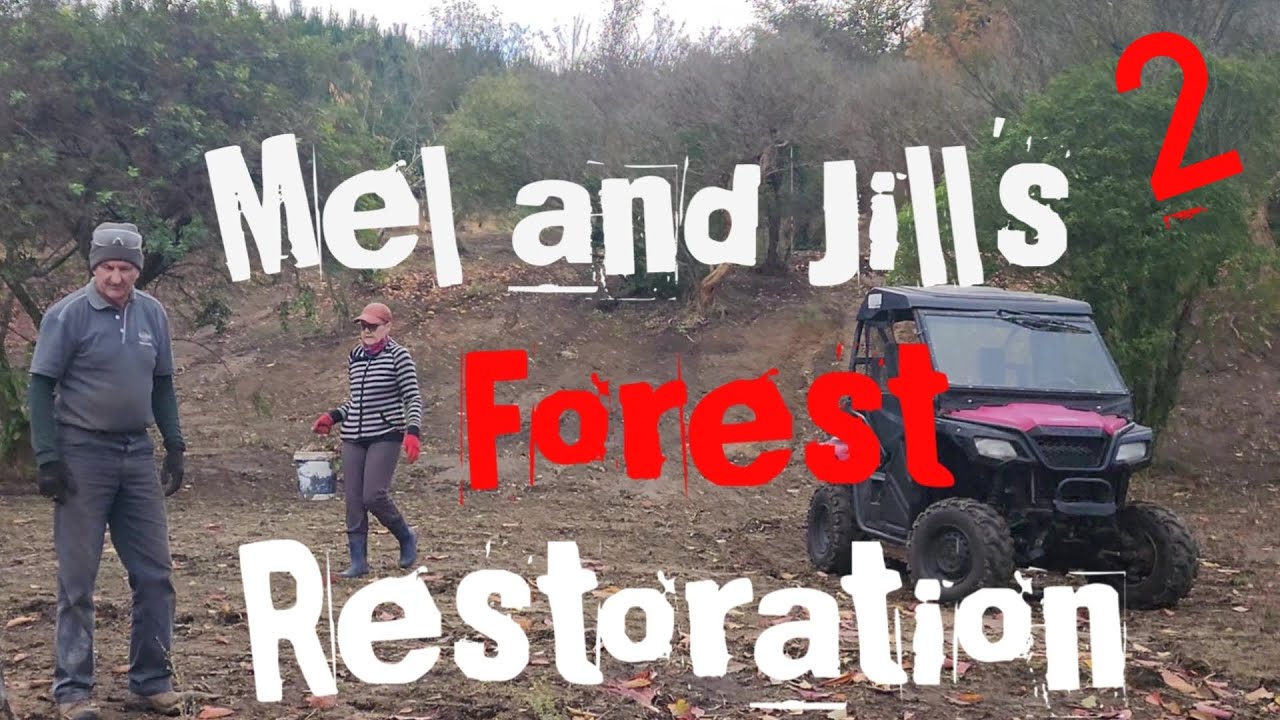 The New Forest. We planted our first tree. #forest #nativetrees #naturelovers #nz #futureproof