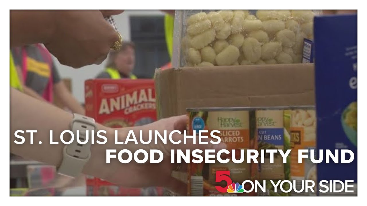 St. Louis launches food insecurity fund to help families while SNAP benefits are disrupted
